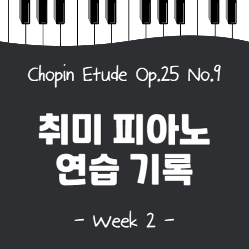 피아노 취미생의 쇼팽 에뛰드 나비 연습 영상(Chopin etude op.25 no.9) - 2주차