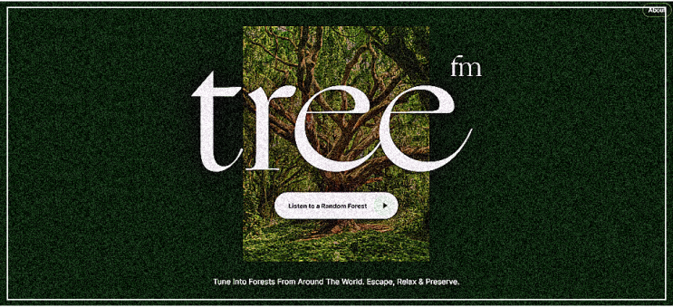 tree.fm 전 세계에서 녹음한 숲의 소리를 수집한 멋진 웹사이트 정보 소개