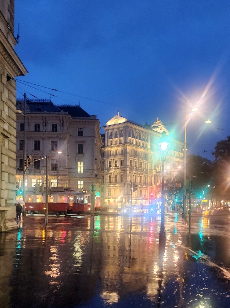 오스트리아 비엔나 : 비오는 밤