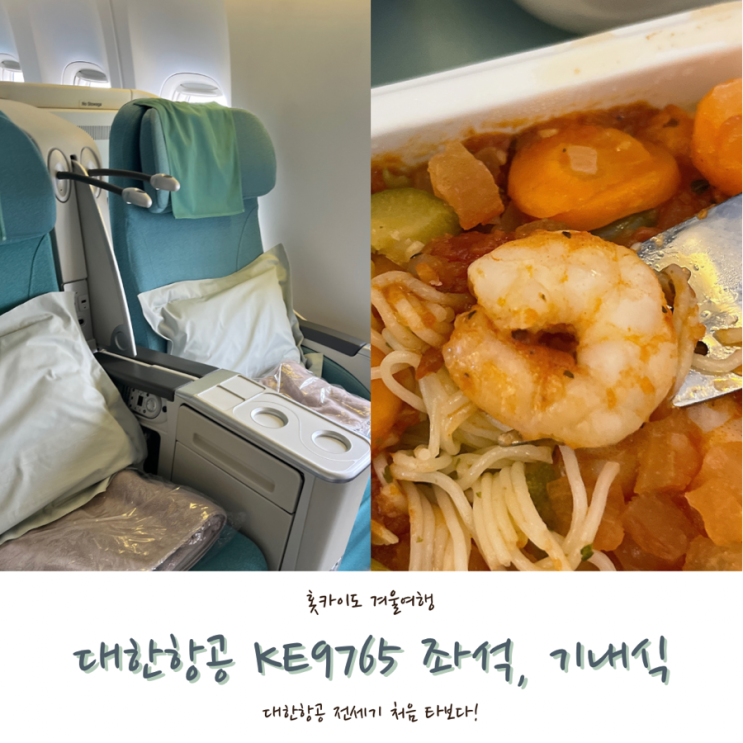  [2024 홋카이도] #1. 인천-홋카이도 대한항공 전세기 탑승기(KE9765, 기내식, 좌석)