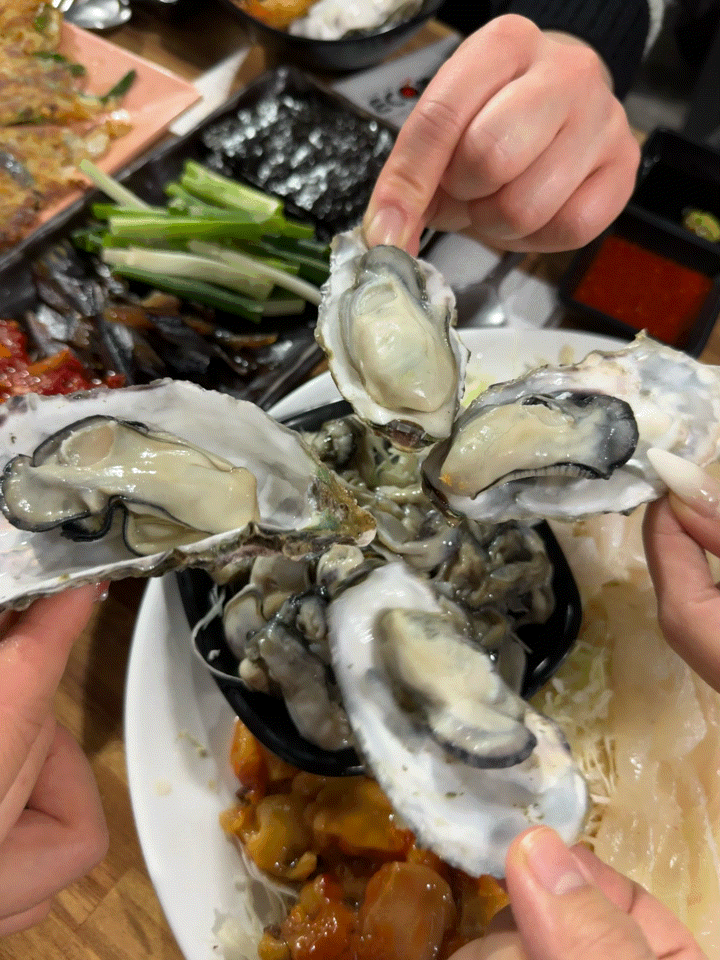  강남 이모카세 20가지 해산물이 코스로나오는 통영다찌