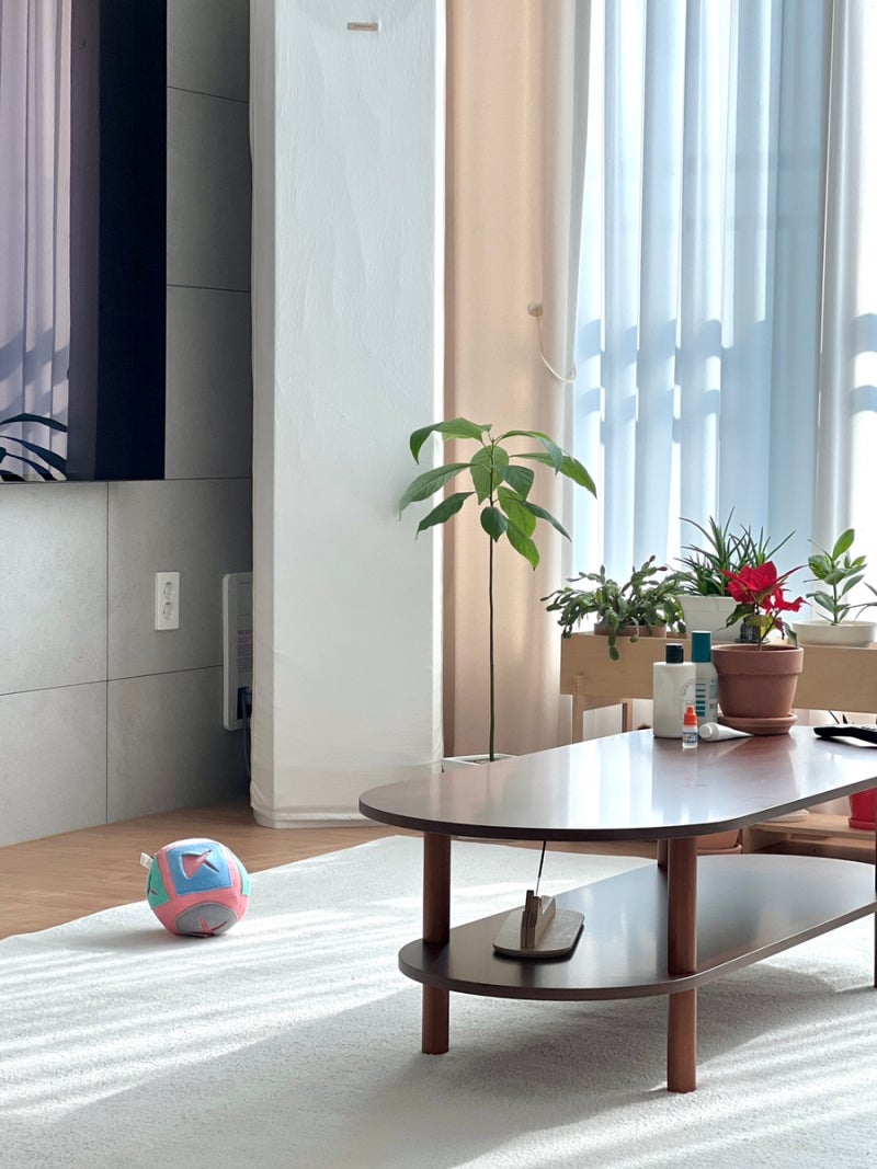 거실 카페트 세탁은 코인세탁에서 해결_크린토피아 원흥역센트럴푸르지오점 : 네이버 블로그