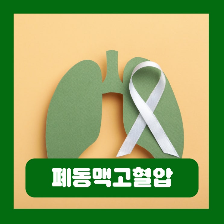  폐동맥고혈압 증상 검사 치료 폐고혈압 초기진단 중요