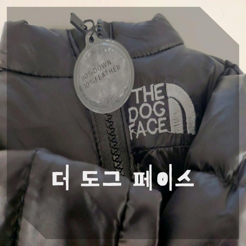 [반려견 패딩] 따뜻한 강아지 겨울 옷 경량 패딩 '더도그페이스'