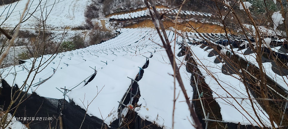 수전터산 사진 3
