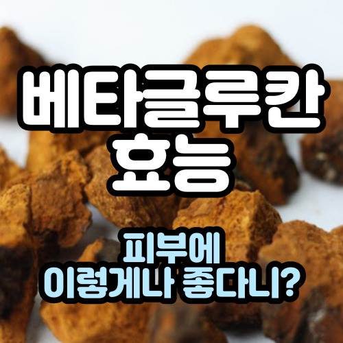  베타글루칸 효능 피부에 이렇게 좋다니