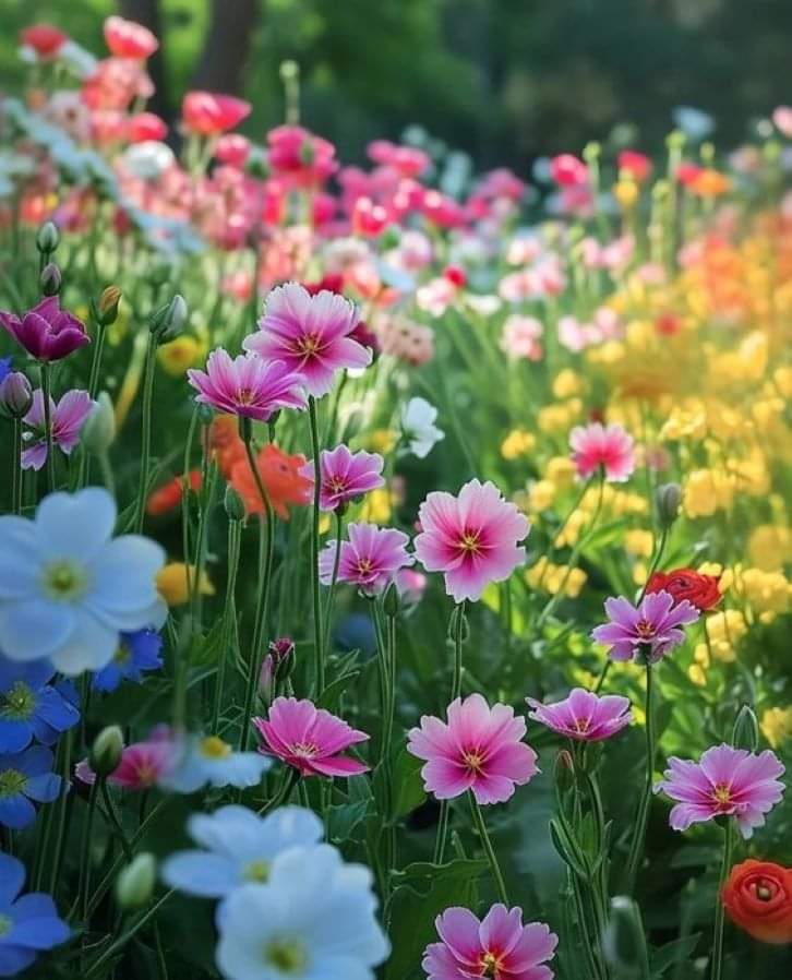   오늘의 생활정보 (2024-02-26, 월)