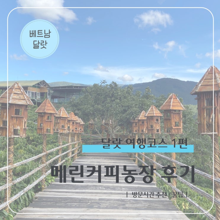 달랏 메린커피농장 후기 ft. 방문 시간 추천 꿀팁