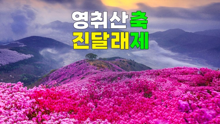 2024 여수 영취산 진달래 축제와 함께하는 KBS 전국 노래자랑(기본정보, 산신제, 전라도 3월축제) 2024 여수 영취산 진달래 축제와 함께하는 KBS 전국 노래자랑(기본정보, 산신제, 전라도 3월축제)