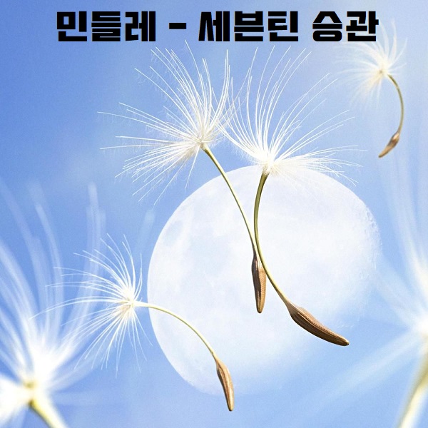 민들레 세븐틴 승관 가사 뮤비 곡정보 故 문빈 추모곡 잔잔한 노래 민들레 세븐틴 승관 가사 뮤비 곡정보 故 문빈 추모곡 잔잔한 노래