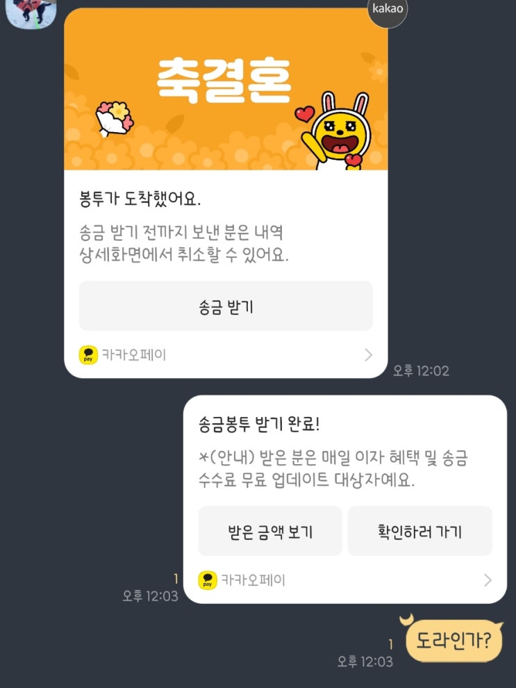  [240219, 22] 주짓수 187,8회(랏쏘 가드, 스윕, 생일 일상 조금)