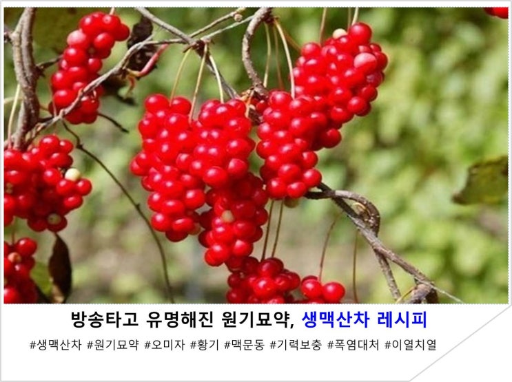  방송타고 유명해진 원기묘약, 생맥산차 레시피