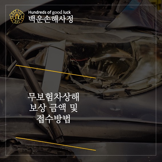  무보험차상해 보상 금액 및 접수 방법 [지급 사례]