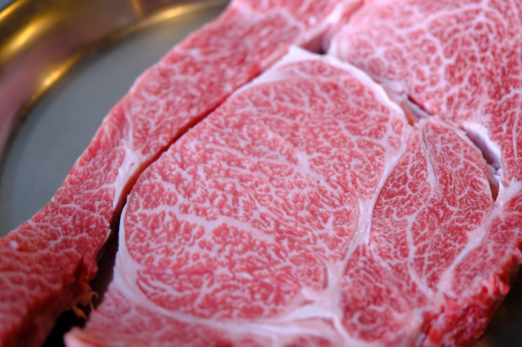  마블링이 놀랍던 중문관광단지 맛집 장위동유성집