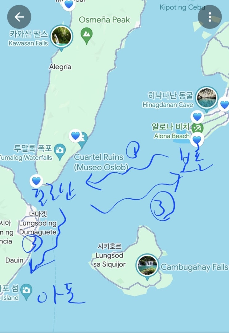 필리핀 보홀 스쿠버다이빙 사파리투어 다이브사파리 온다이브 필리핀 보홀 스쿠버다이빙 사파리투어 다이브사파리 온다이브