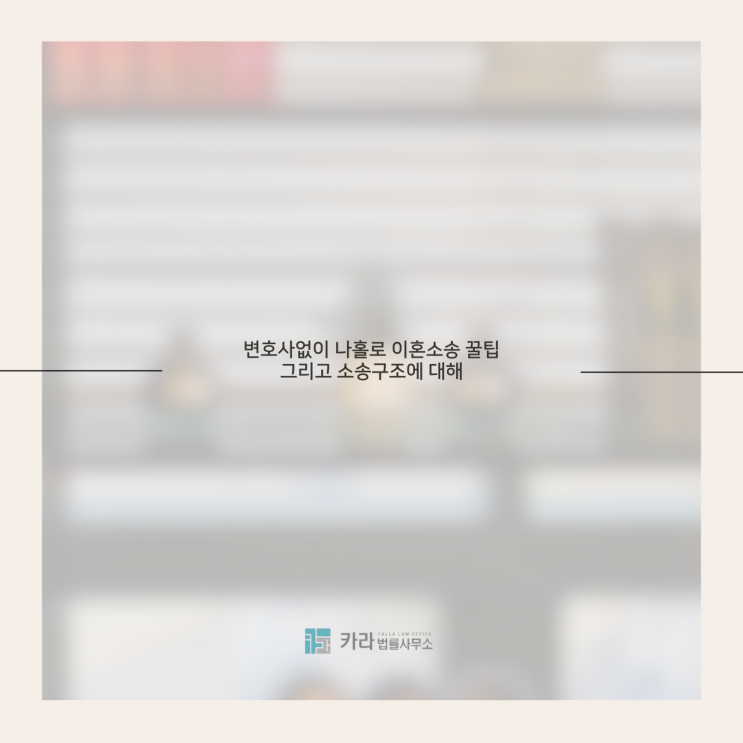 변호사없이 나홀로 이혼소송 꿀팁 그리고 소송구조에 대해