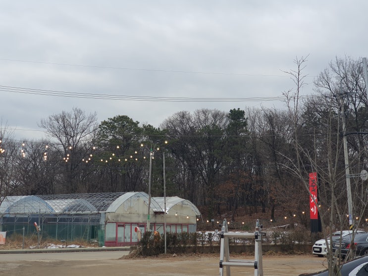  고양이케아에서 가까운 화정국사봉 맛집 준차이 방문후기