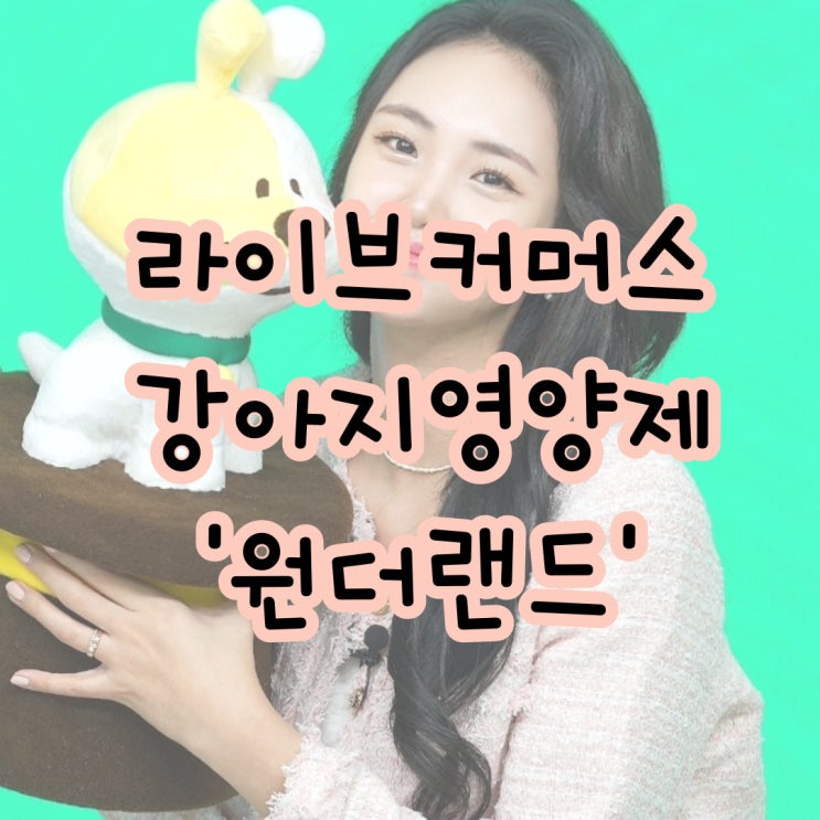  라이브커머스 강아지 영양제 방송 '펫픽 원더랜드'