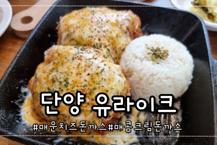  단양 사인암 돈까스 맛집 유라이크 두번세번 가세요 내돈내산