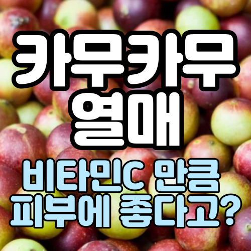  카무카무(까무까무) 열매 효능 비타민C만큼 피부에 좋나