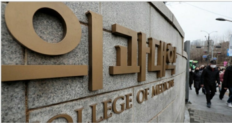 설득/성균관교수,상호양보/<b>의협</b>,끝까지 저항/<b>대통령실</b>,증원은... 