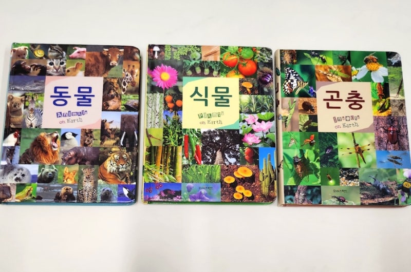 블로그 후기 사진