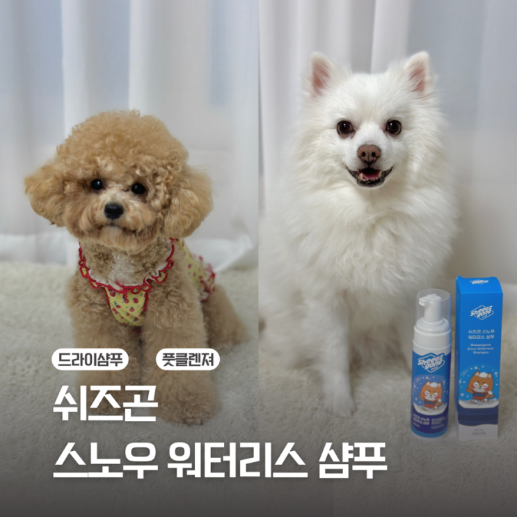 [강아지샴푸]쉬즈곤 스노우 워터리스 샴푸 / 드라이 샴푸