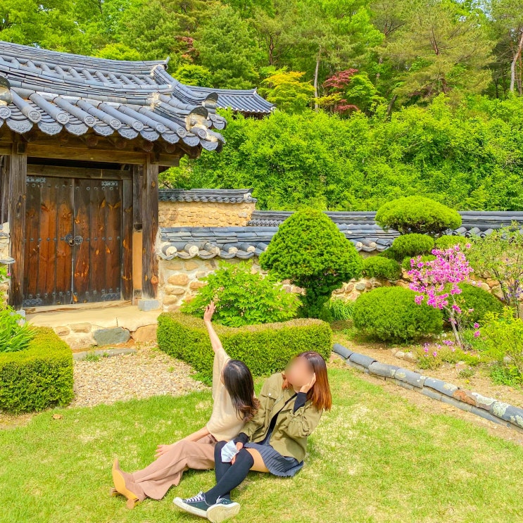 경북 영주 가볼만한곳 무섬마을 여행 시내