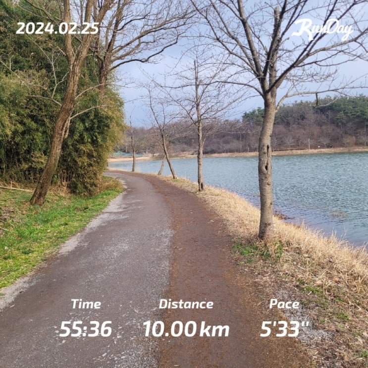  10km 마라톤 기록, 1시간 내 완주 페이스 대회 준비 어떻게?