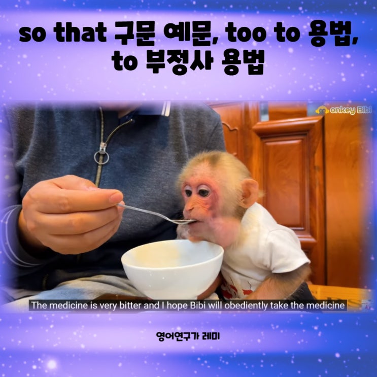 so that 구문 예문, too to 용법, to 부정사 용법 영어독학 so that 구문 예문, too to 용법, to 부정사 용법 영어독학