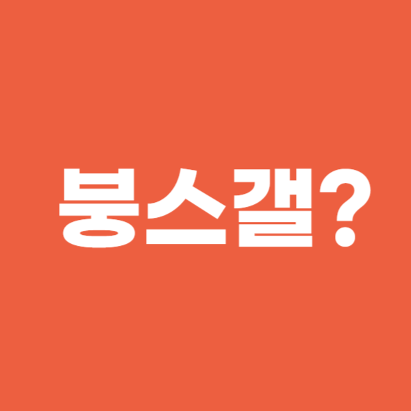  붕스갤이란 무엇인가?