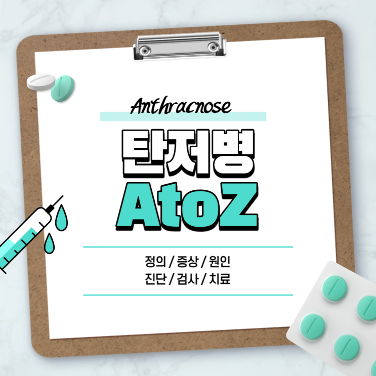 탄저병 A to Z 【#증상 #원인 #치료 #약 #세균 #치료제 #백신 #탄저균】