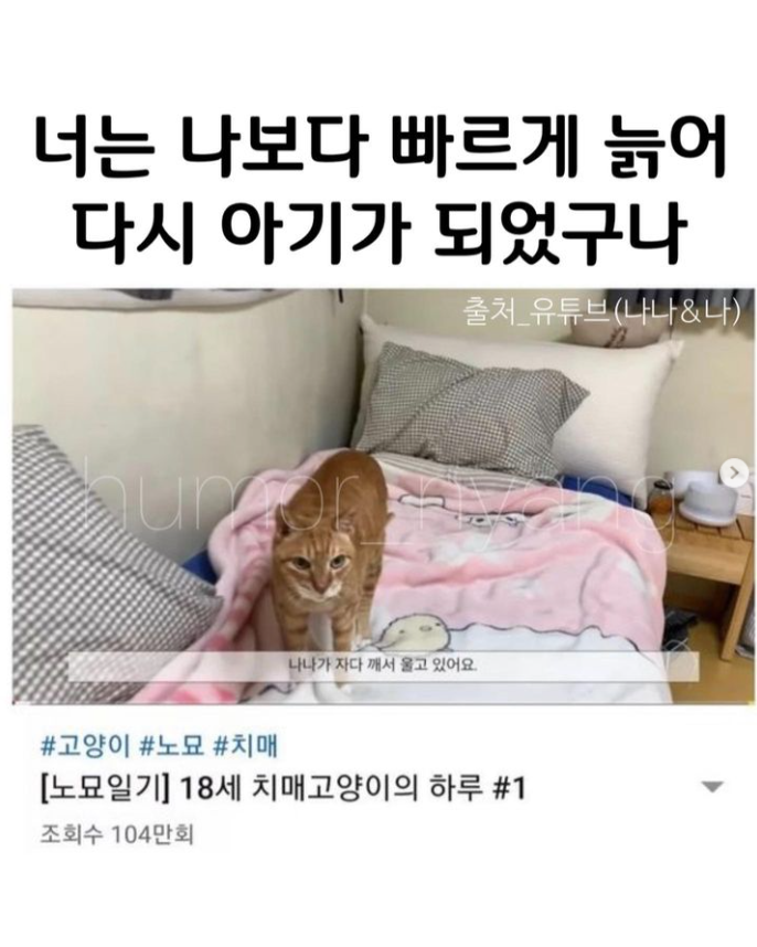  너는 나보다 빠르게 늙어 다시 아기가 되었구나