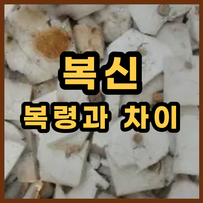  복신의 효능(복령과의 차이점)