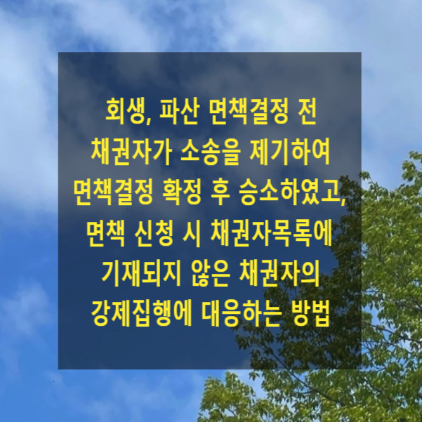  회생, 파산 면책결정 전 채권자가 채무 지급청구 소송을 제기하여 면책결정 확정 후 승소 판결을 받았고, 면책 신청 시 채권자목록에 기재되지 않은 채권자 강제집행에 대응하는 방법