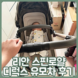리안 스핀로얄 회전형 디럭스 유모차 조립부터 승차 후기까지 내돈내산 찐리뷰