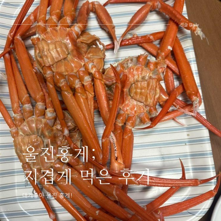  대게좋아 울진홍게 저녁으로 먹은 날
