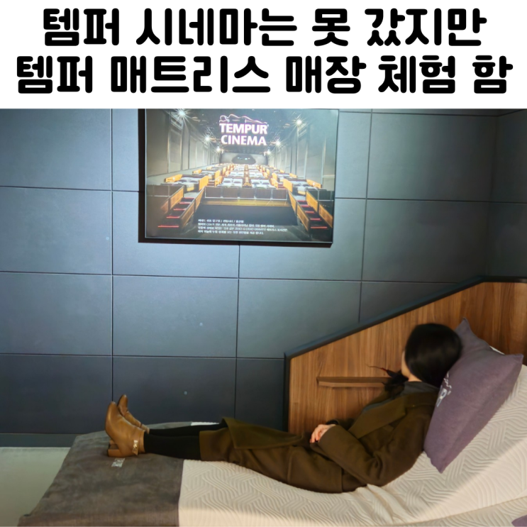  템퍼매트리스 종류 매장 체험 리뷰