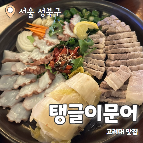  탱글이문어 : 안암맛집 N차방문 내돈내산 후기