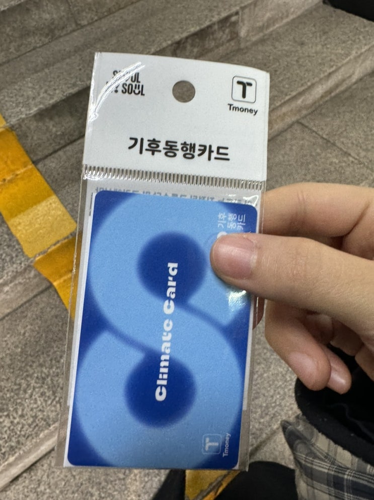  기후동행카드 웹 등록 및 충전하는 방법