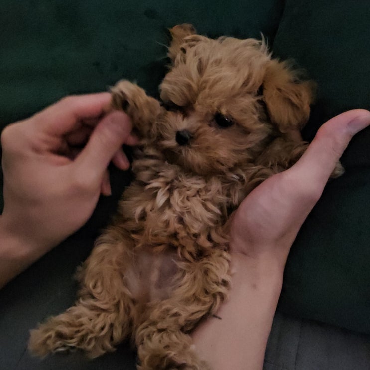  안녕하세요 밤이에요