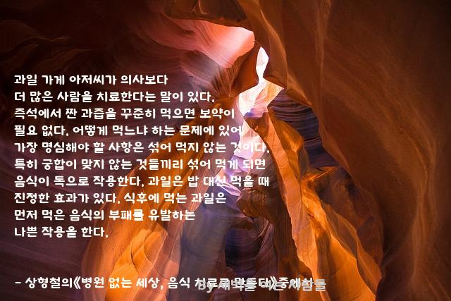 .......과일 .......과일