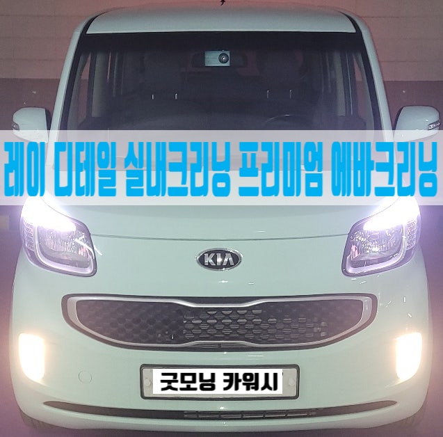  송파 실내세차 중고차 내부 벌레 제거 에바클리닝