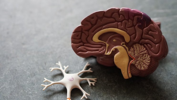 치매 아버지 혼자 돌본 딸, 사망보험금은 오빠들과 ‘사이좋게’ 나눠야 할까 치매 아버지 혼자 돌본 딸, 사망보험금은 오빠들과 ‘사이좋게’ 나눠야 할까