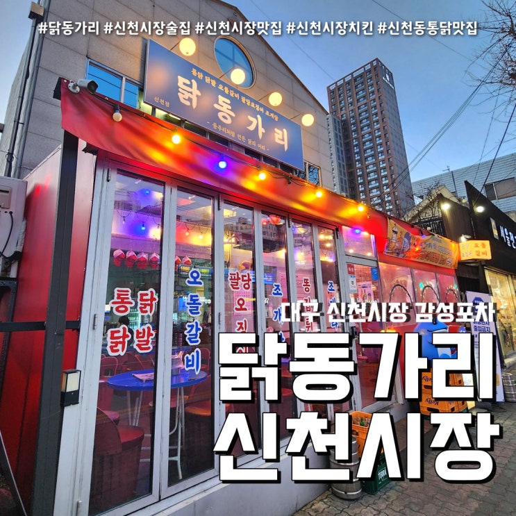  신천시장 술집 닭동가리 (feat. 대구 감성포차 신천동맛집   )
