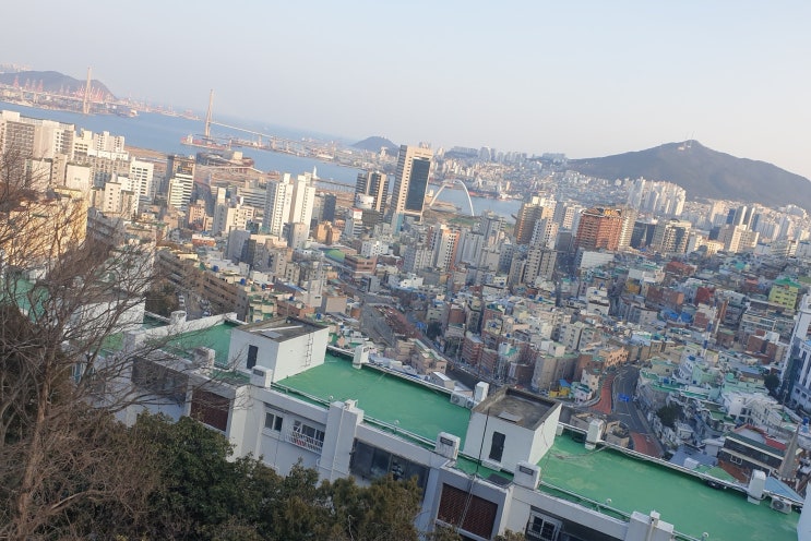  무자본 갭투자? 117억 전세 경제 사범, 430여 가구 피해