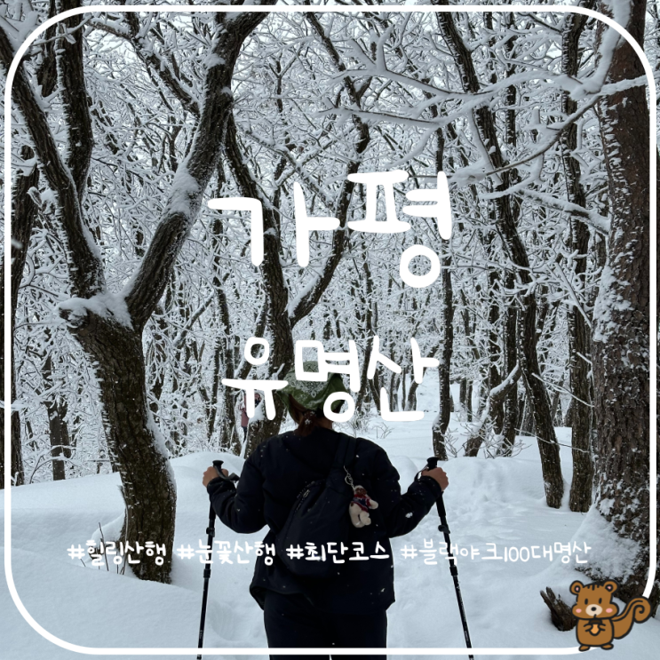 경기도 가평 유명산 최단코스 눈꽃산행 경기도 가평 유명산 최단코스 눈꽃산행