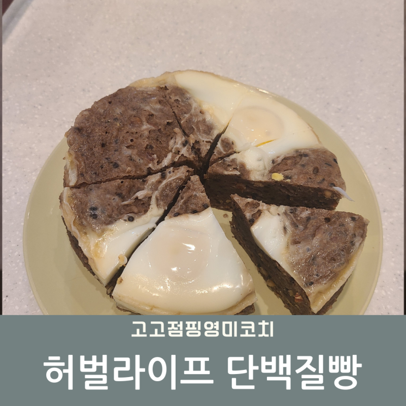 프로틴빵 레시피 허벌라이프 쉐이크로 단백질빵 만들기