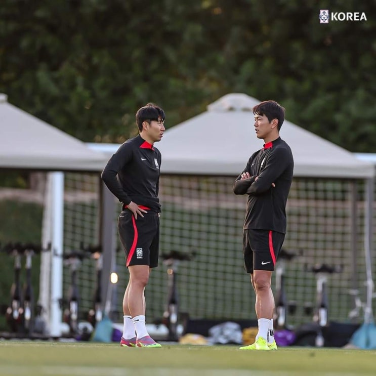 <b>황선홍</b>, 축구국가대표팀 <b>임시 감독</b> 선임, 박항서 거절설