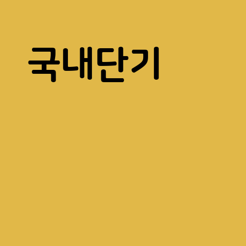 국내단기 여행자보험 선택법